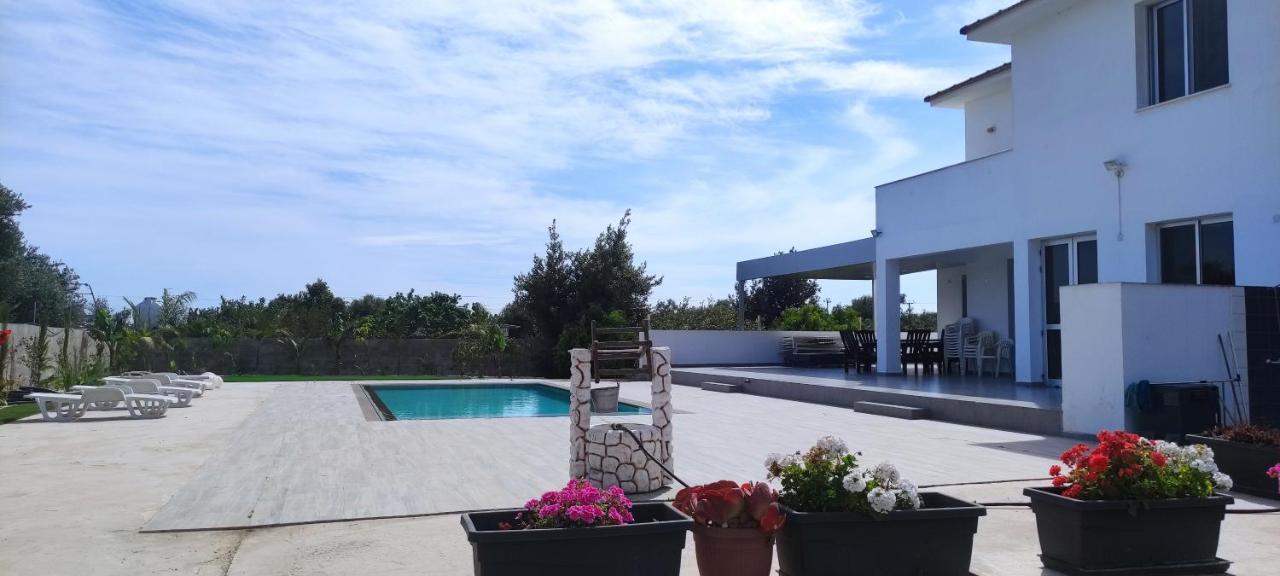 Kiti Village Villa, Cyprus, Salt-Water Pool, 6 Bedrooms, Larnaca Buitenkant foto