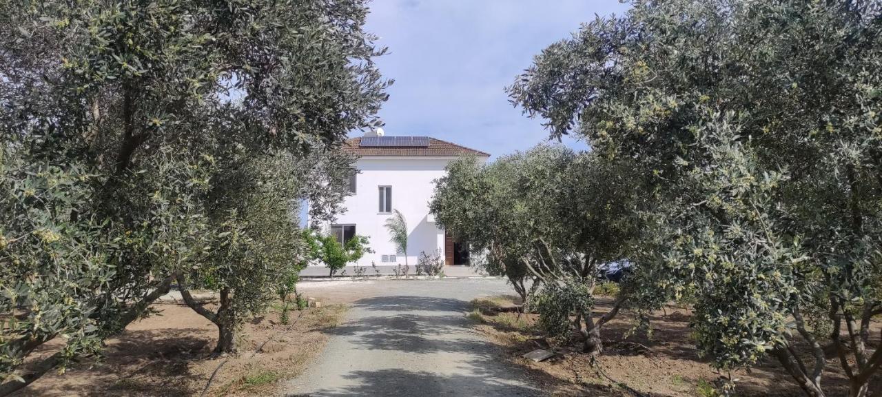 Kiti Village Villa, Cyprus, Salt-Water Pool, 6 Bedrooms, Larnaca Buitenkant foto