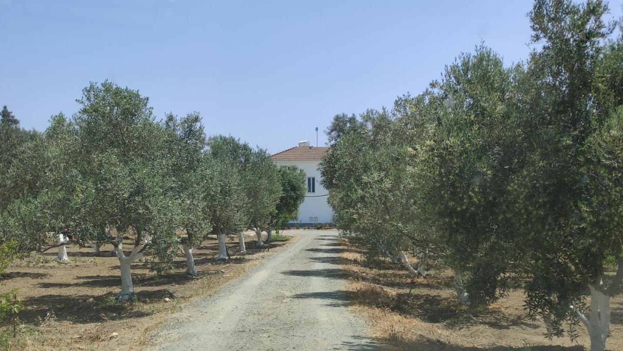 Kiti Village Villa, Cyprus, Salt-Water Pool, 6 Bedrooms, Larnaca Buitenkant foto