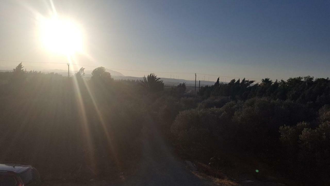Kiti Village Villa, Cyprus, Salt-Water Pool, 6 Bedrooms, Larnaca Buitenkant foto
